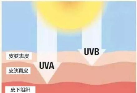 防晒指数代表的意思（防晒知识 你应该了解）