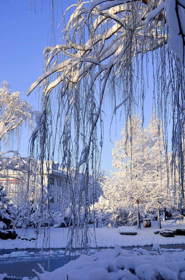 描写大雪纷飞的诗词（六首大雪诗词，六种人生情怀）